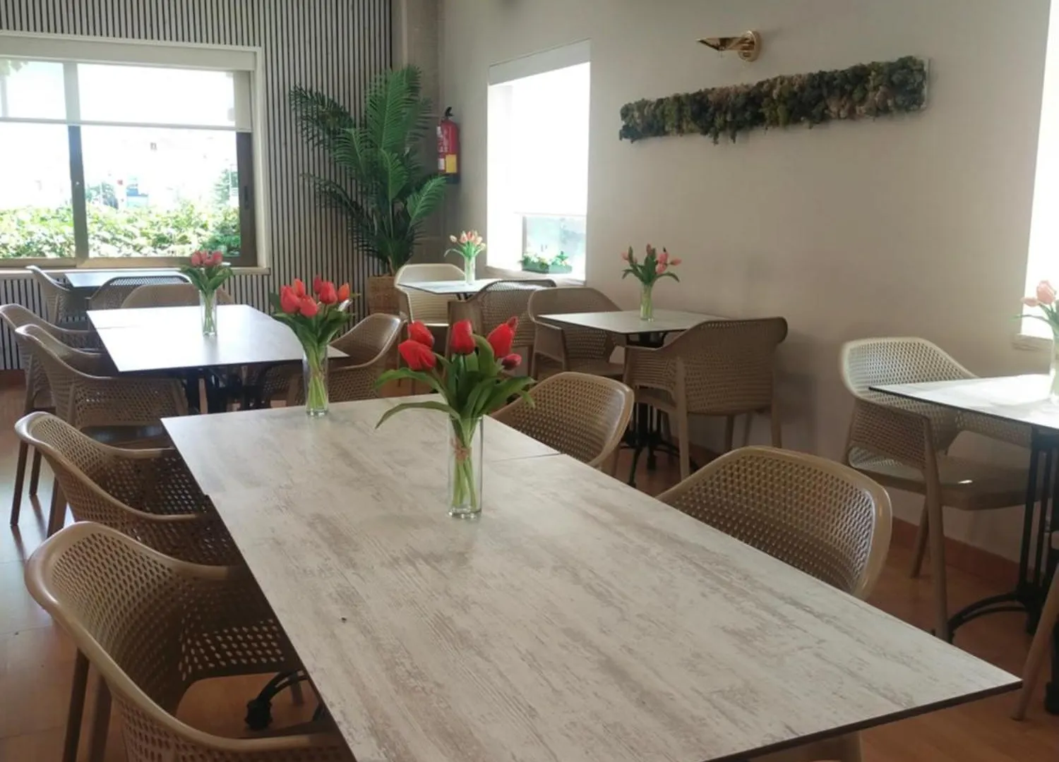 Hotel Hostal Buenos Aires Tremp